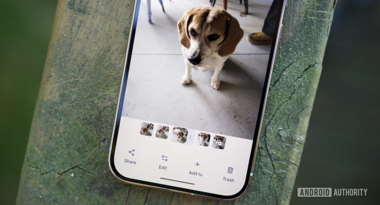 Tampilan aplikasi Google Photos pada layar ponsel pintar Android Google Pixel