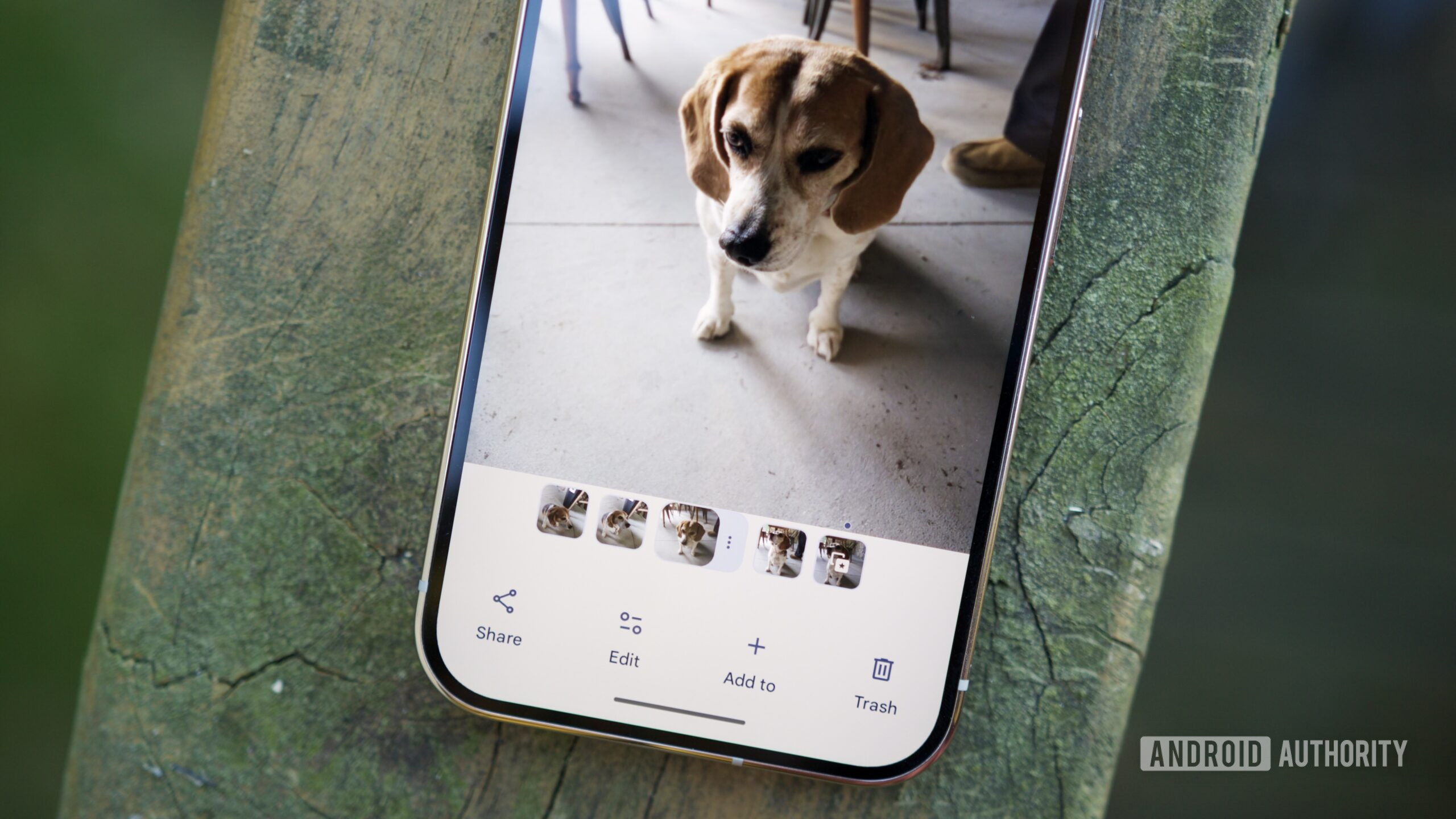 Tampilan aplikasi Google Photos pada layar ponsel pintar Android Google Pixel