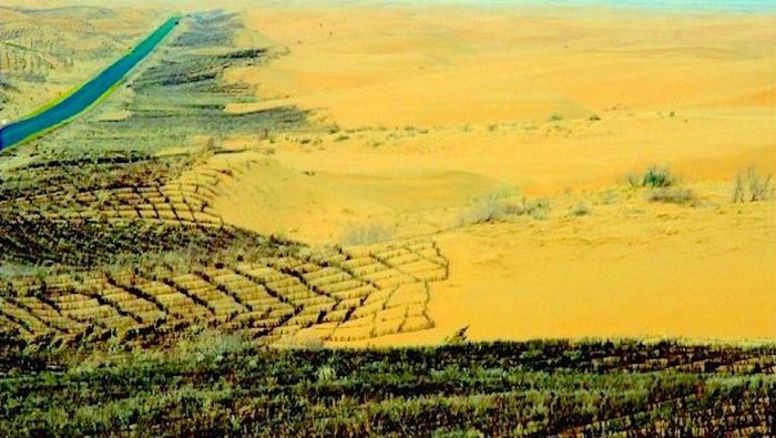 Proyek sabuk hijau Three-North Shelter Forest Program atau Tembok Hijau Raksasa di tepi gurun Gobi dan Taklamakan di China.